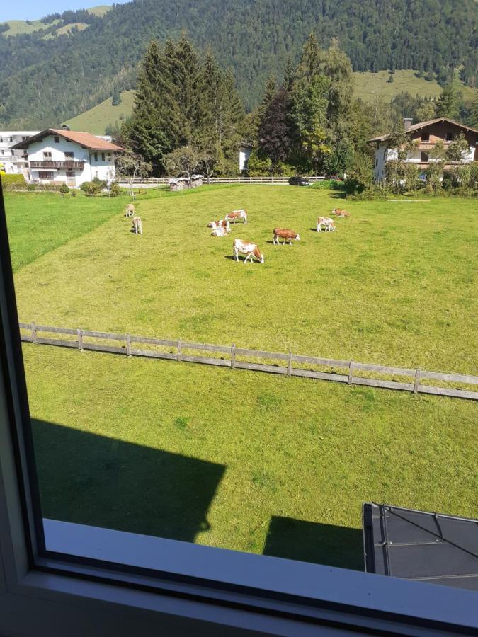 Tirolerhaus Lägenhet Walchsee Exteriör bild